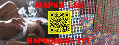 кокс Нальчик
